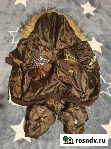 Зимний комбинезон для мелкой собачки Новокузнецк - изображение 1