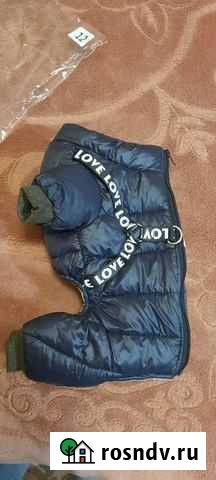 Зимний комбинезон для маленькой собаки Мытищи - изображение 1