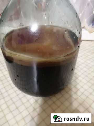 Чайный гриб Ижевск - изображение 1