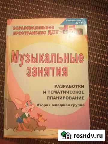 Музыкальные занятия для детского сада Липецк - изображение 1