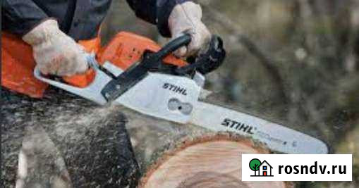 Спил деревьев Каспийск - изображение 1