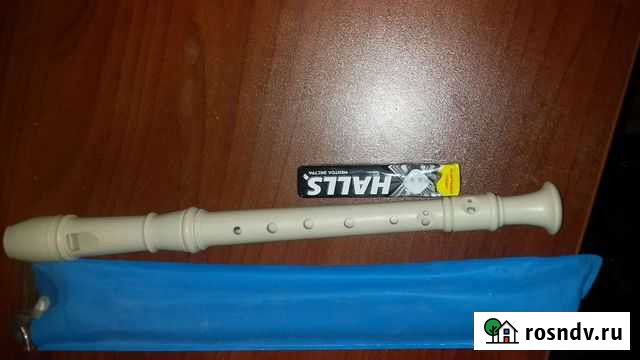 Флейта Оренбург - изображение 1