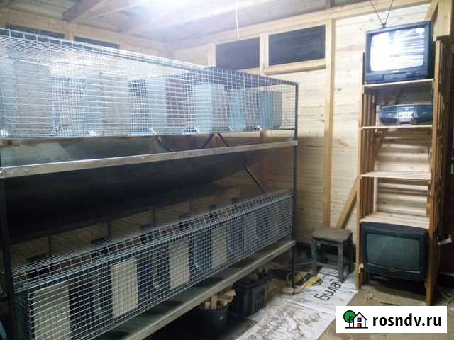 Клетки для кроликов б\у Старая Вичуга - изображение 1