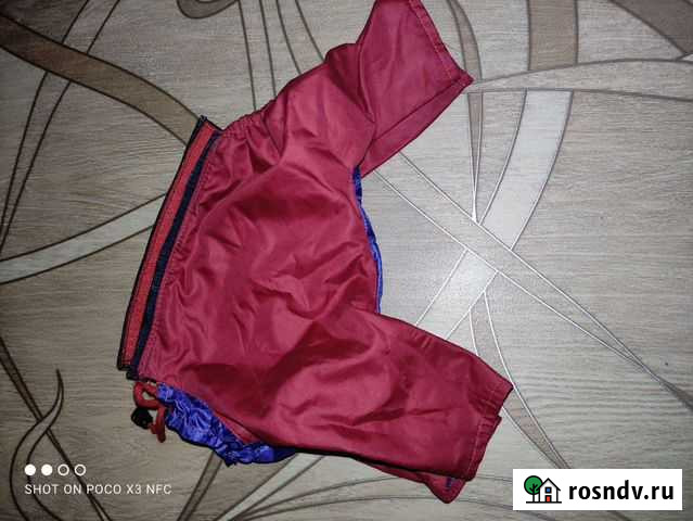 Комбинезон для маленькой собаки Уфа - изображение 1