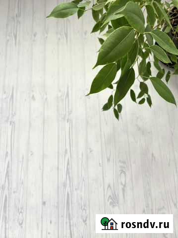 Фотофон виниловый Кемерово - изображение 1