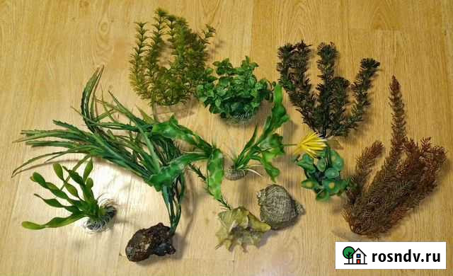 Аквариумные растения Краснотурьинск - изображение 1