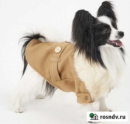Пальто для собак Улан-Удэ - изображение 1