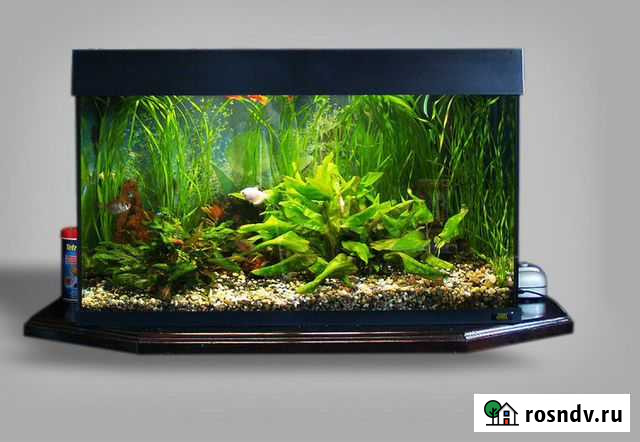 Новый аквариум 20-130л Новосибирск - изображение 1