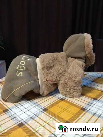 Одежда для животных Нижний Тагил - изображение 1