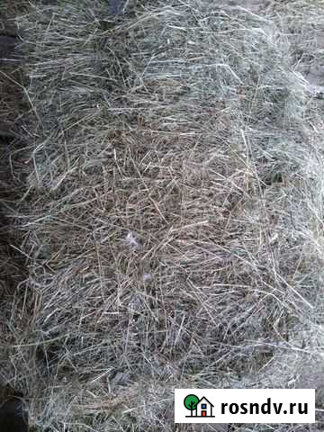 Продам сено в тюках Белгород - изображение 1