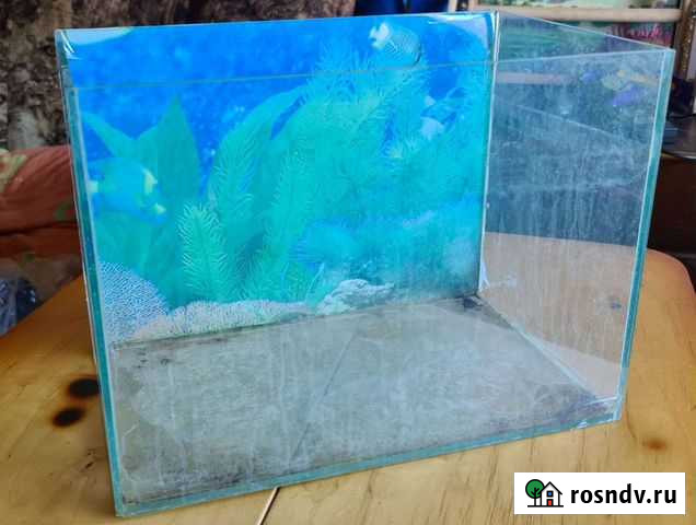 Аквариум Хабаровск - изображение 1