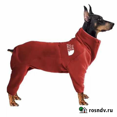 Комбез для собаки Калининград - изображение 1