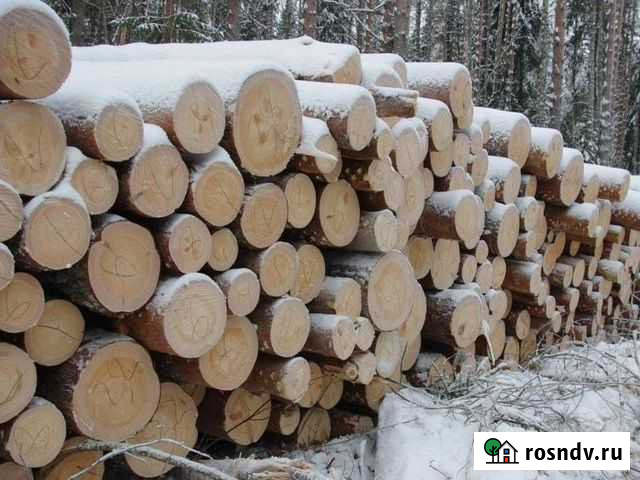 Лес кругляк сосна Зубова Поляна - изображение 1