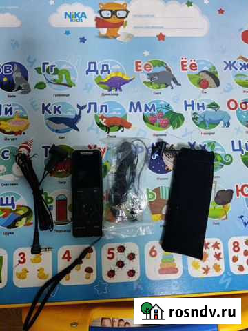 Диктофон Ritmix RR-980 4гб Камень-Рыболов - изображение 1