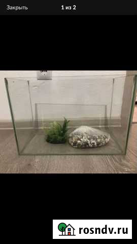 Аквариум Тверь - изображение 1