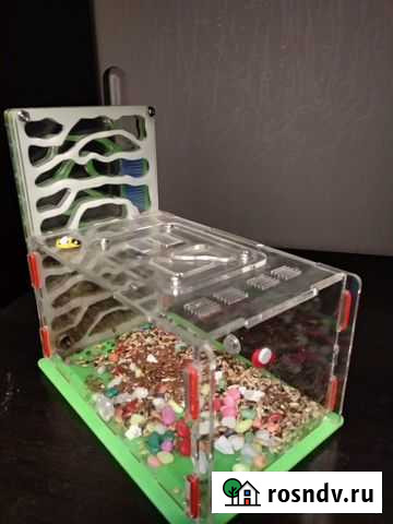 Формикарий для муравьев Одинцово - изображение 1