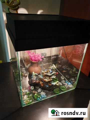 Аквариум Новосибирск - изображение 1