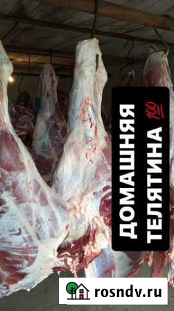 Домашняя Телятина село Знаменка Красноярск - изображение 1
