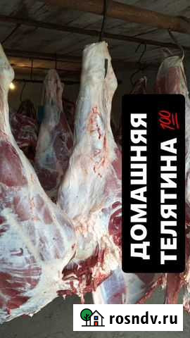Домашняя Телятина село Знаменка Красноярск - изображение 1