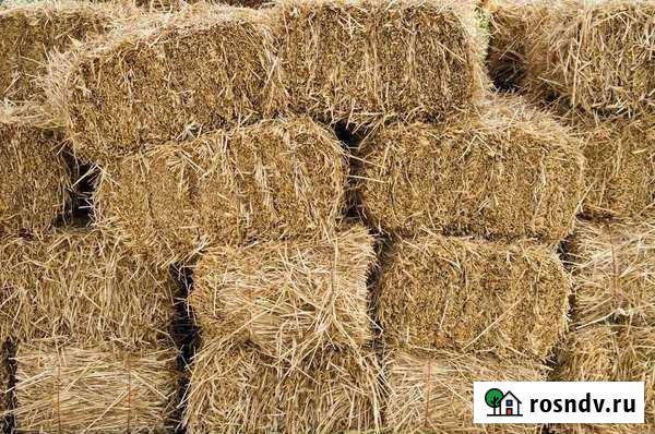Продам сено в тюках Новый Оскол - изображение 1