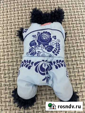 Комбинезон для маленькой собачки размер s Нижневартовск - изображение 1