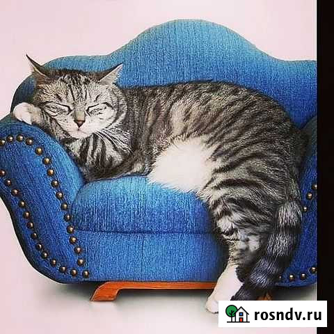 Перетяжка,ремонт мягкой мебели Яблоновский - изображение 1