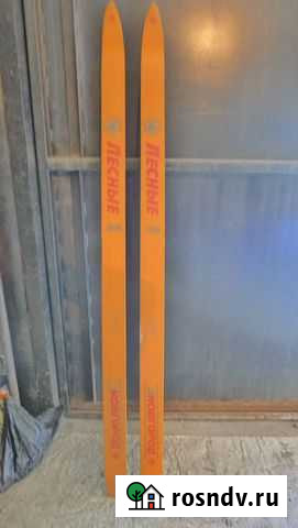 Лыжи охотничьи Нижневартовск - изображение 1