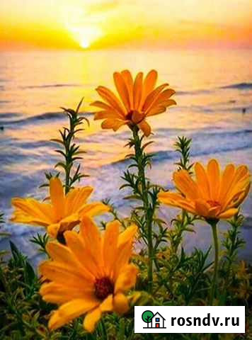 Картина по номерам, новая, 40х50 см Тула - изображение 1