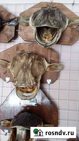 Сувенир для рыбака Астрахань - изображение 1