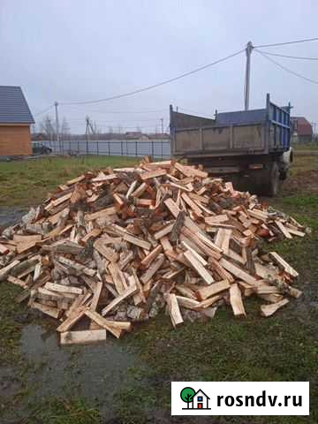 Дрова Шимск - изображение 1