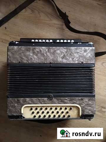 Гармонь Коноково - изображение 1