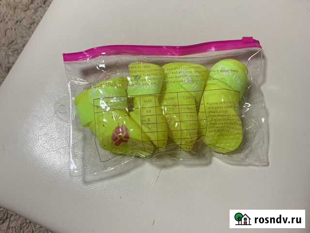 Одежда и обувь для собак Екатеринбург - изображение 1