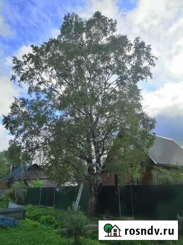 Спил Деревьев Любой Сложности Рыбинск - изображение 1