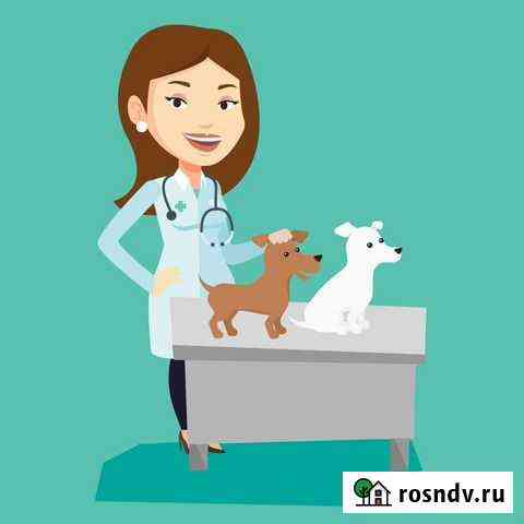 Ветеринарный врач на дом Майкоп