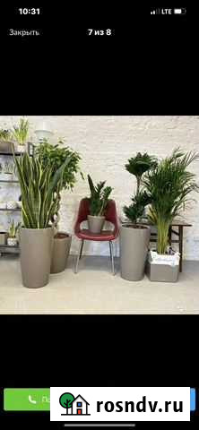 Продам готовый бизнес:цветочный салон Москва - изображение 1