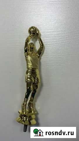 Спортивная статуэтка Красноярск - изображение 1