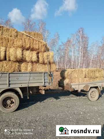 Товары для животных Еманжелинск - изображение 1