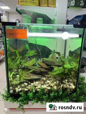 Аквариумный комплект с декорациями Чита - изображение 1