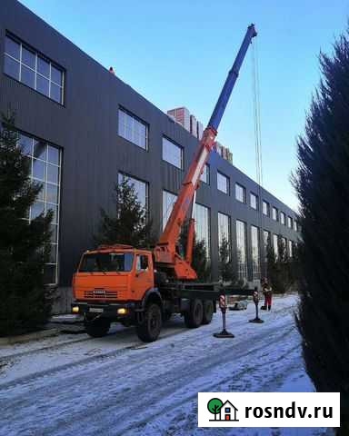 Услуги автокрана 25 тонн вездеход Сердобск - изображение 1