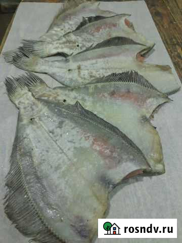 Камбала-ёрш вяленый,палтус х/к,окунь Мурманск - изображение 1