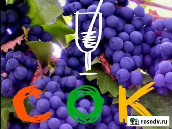 Продукты из винограда, жмых, сусло, мезга и т.д+ Анапа