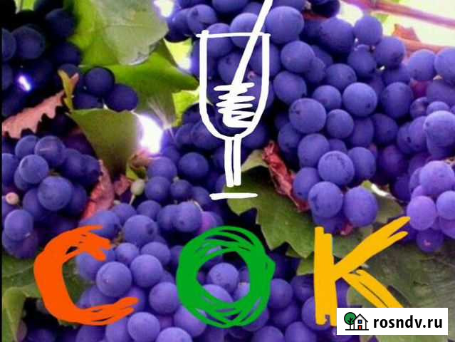 Продукты из винограда, жмых, сусло, мезга и т.д+ Анапа - изображение 1