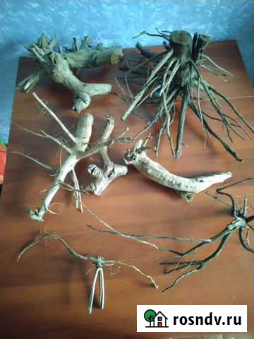 Коряги для аквариума подготовленные Москва - изображение 1