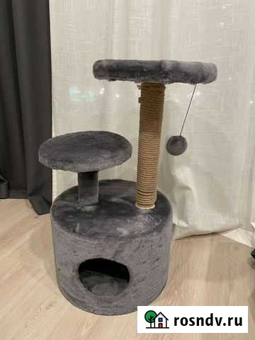 Когтеточка Королев - изображение 1