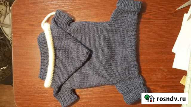 Комбезик для маленьких собачек Йошкар-Ола - изображение 1