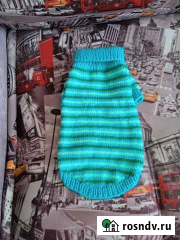 Одежда для кошечек и собачек Бийск - изображение 1