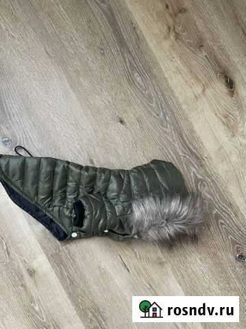 Комбинезон для собаки Видное - изображение 1