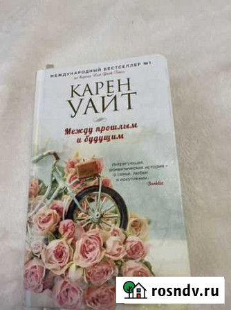 Роман Набережные Челны - изображение 1