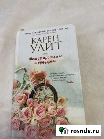 Роман Набережные Челны - изображение 1