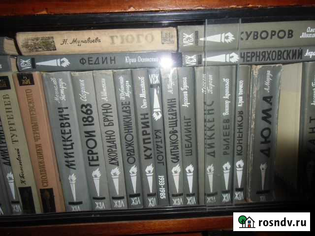 Книги серии жзл Челябинск - изображение 1